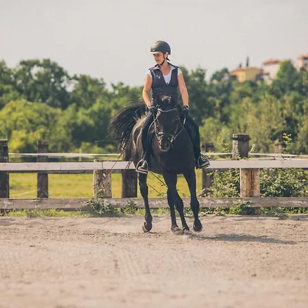 Apartma Casa Della Pizza - Parking Included Apartman