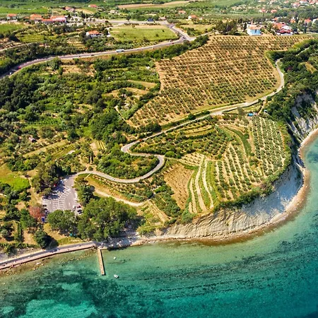 Apartma Casa Della Pizza - Parking Included