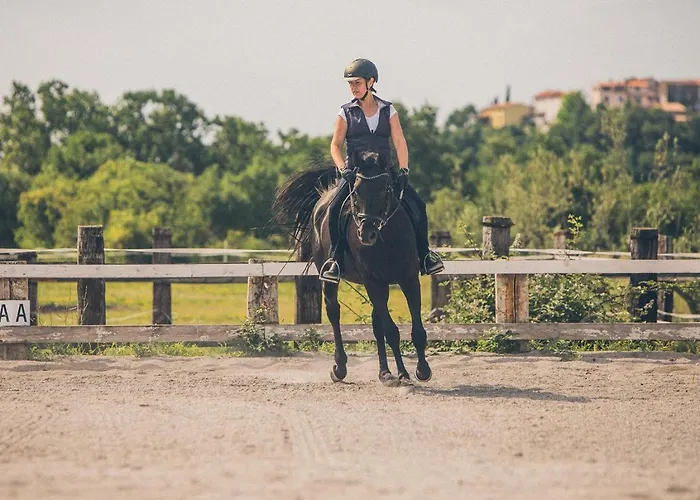 Apartma Casa Della Pizza - Parking Included Apartamento