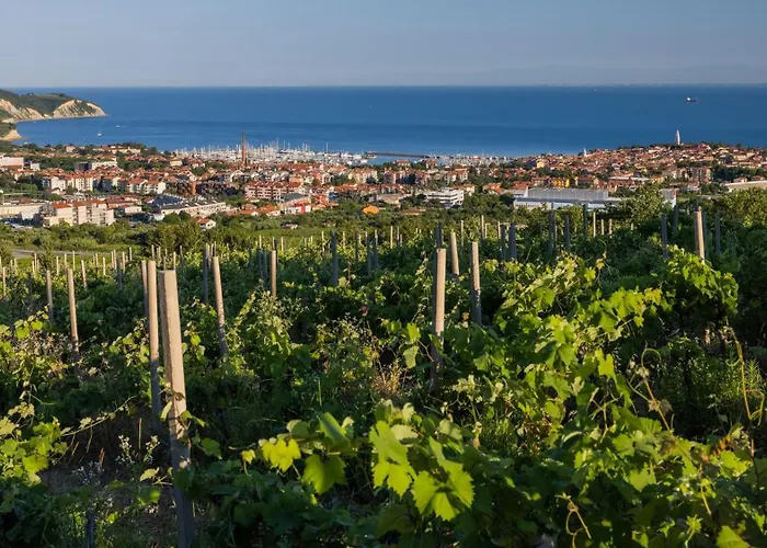 Apartma Casa Della Pizza - Parking Included